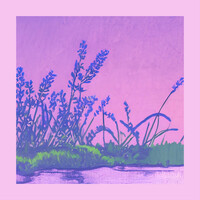 Thumbnail for the MOAT - Lavender link, provided by host site