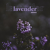 Thumbnail for the Amara - lavender link, provided by host site