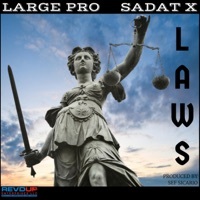 Thumbnail for the Large Pro - Laws link, provided by host site