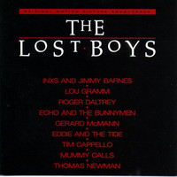 Thumbnail for the INXS - Laying Down The Law - Soundtrack link, provided by host site