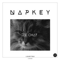 Thumbnail for the Napkey - Le chat link, provided by host site