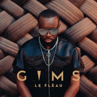 Thumbnail for the Maître Gims - Le fléau link, provided by host site