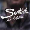 Image of Sentin'L linking to their artist page due to link from them being at the top of the main table on this page