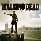 Thumbnail for the Jamie N Commons - Lead Me Home (The Walking Dead Soundtrack) link, provided by host site