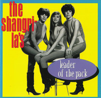 Thumbnail for the The Shangri-Las - Leader Of The Pack link, provided by host site