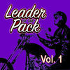 Thumbnail for the The Shangri-Las - Leader of the Pack, Vol. 1 link, provided by host site
