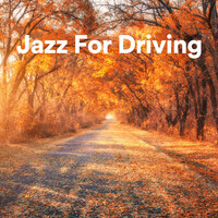 Thumbnail for the José James - Lean On Me link, provided by host site