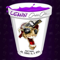 Thumbnail for the Rapid Ric - Leanin link, provided by host site