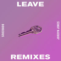 Thumbnail for the Borgeous - Leave (Remixes) link, provided by host site