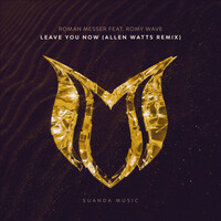Thumbnail for the Roman Messer - Leave You Now (Allen Watts Remix) link, provided by host site