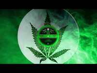 Thumbnail for the Sleep - Leaves Beneath link, provided by host site
