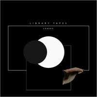 Thumbnail for the Library Tapes - Leaves link, provided by host site