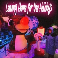 Thumbnail for the Sundressed - Leaving Home For The Holidays link, provided by host site