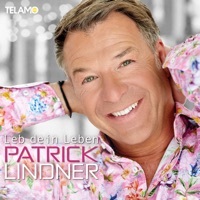 Thumbnail for the Patrick Lindner - Leb dein Leben link, provided by host site