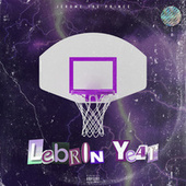 Thumbnail for the Jerome The Prince - Lebron Year link, provided by host site