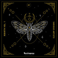 Thumbnail for the Fantom Freq - Legend (Radio Edit) link, provided by host site