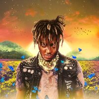 Thumbnail for the Juice WRLD - Legends Never Die (5 Year Anniversary Edition) link, provided by host site