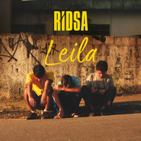 Thumbnail for the RIDSA - Leila link, provided by host site