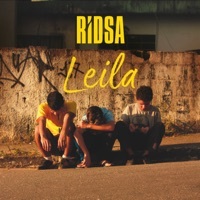 Thumbnail for the RIDSA - Leila link, provided by host site