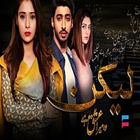 Thumbnail for the Sahir Ali Bagga - Lekin OST link, provided by host site