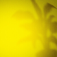 Thumbnail for the LÉON - LEON link, provided by host site