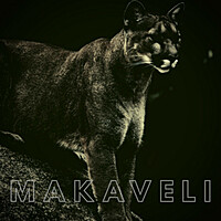 Thumbnail for the Makaveli - Leopards link, provided by host site