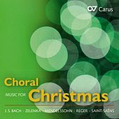Thumbnail for the Calmus Ensemble - Les anges dans nos campagnes (Arr. F. Jung for Vocal Ensemble) link, provided by host site