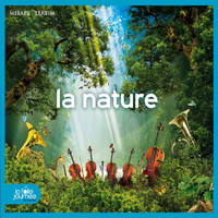 Thumbnail for the Antonio Vivaldi - Les Quatre Saisons, Concerto No.4, Op. 8, RV.297 "L'hiver": XII. Allegro non molto link, provided by host site