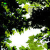 Thumbnail for the Grdnstrt - Less Is More link, provided by host site