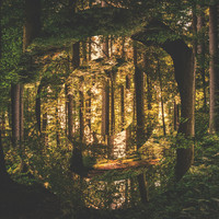 Thumbnail for the Lukas Nelson & Promise of the Real - Let Go Of Your Plans link, provided by host site