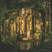 Thumbnail for the Lukas Nelson & Promise of the Real - Let Go Of Your Plans link, provided by host site