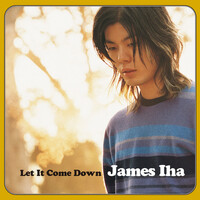 Thumbnail for the James Iha - Let It Come Down link, provided by host site