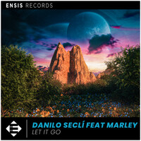 Thumbnail for the Danilo Seclì - Let It Go link, provided by host site