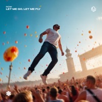 Thumbnail for the Row - Let Me Go, Let Me Fly link, provided by host site