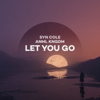 Thumbnail for the Syn Cole - Let You Go link, provided by host site
