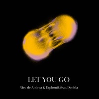 Thumbnail for the Nico de Andrea - Let You Go link, provided by host site