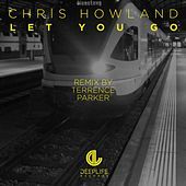 Thumbnail for the Chris Howland - Let You Go link, provided by host site