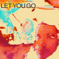 Thumbnail for the Diplo - Let You Go (LF SYSTEM Remix) link, provided by host site