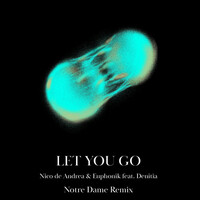 Thumbnail for the Nico de Andrea - Let You Go (Notre Dame Remix) link, provided by host site