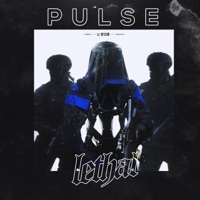 Thumbnail for the Pulse - Lethal link, provided by host site