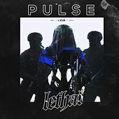 Thumbnail for the Pulse - Lethal link, provided by host site
