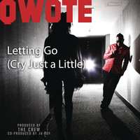 Thumbnail for the Qwote - Letting Go (Cry Just A Little) link, provided by host site