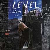 Thumbnail for the Sam James - Level link, provided by host site