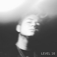 Thumbnail for the Ce.nk - Level 16 link, provided by host site