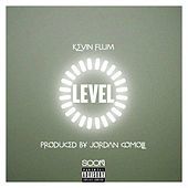Thumbnail for the Kevin Flum - Level link, provided by host site