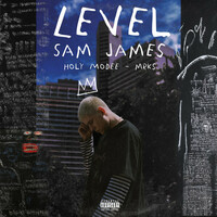 Thumbnail for the Sam James - Level link, provided by host site