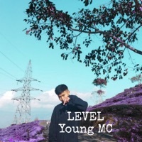 Thumbnail for the Young MC - Level link, provided by host site