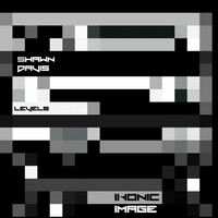 Thumbnail for the Shawn Davis - Levels link, provided by host site