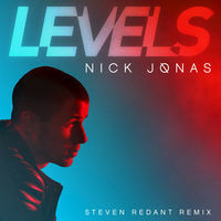 Thumbnail for the Nick Jonas - Levels (Steven Redant Remix) link, provided by host site