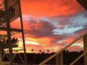 Thumbnail for the The Dead - Levi's Stadium link, provided by host site